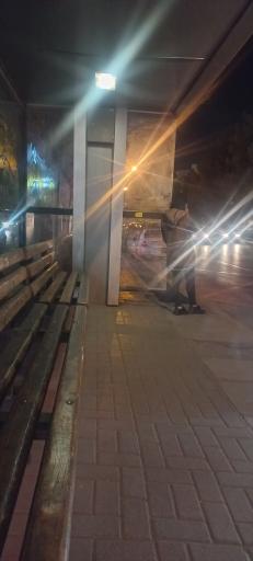 عکس  الهیه 7