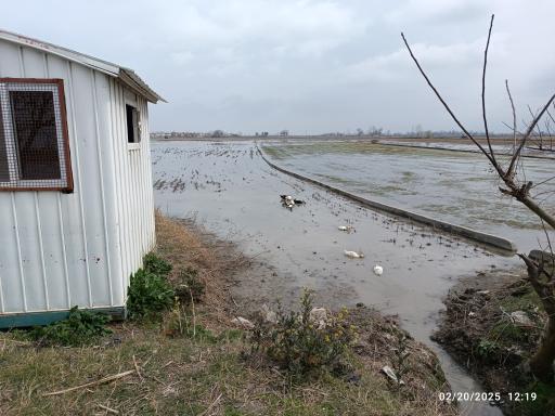 عکس منطقه حفاظت شده پرندگان سرخ‌رود