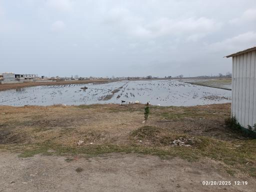 عکس منطقه حفاظت شده پرندگان سرخ‌رود