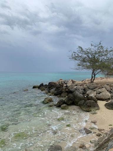 عکس کاخ الیت