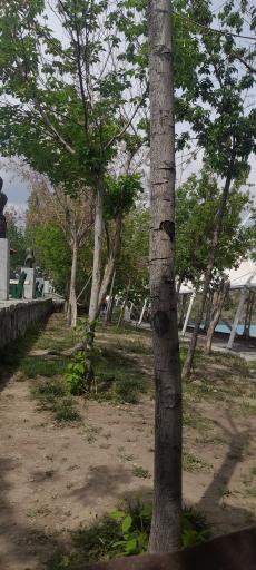 عکس بوستان جوانمردان