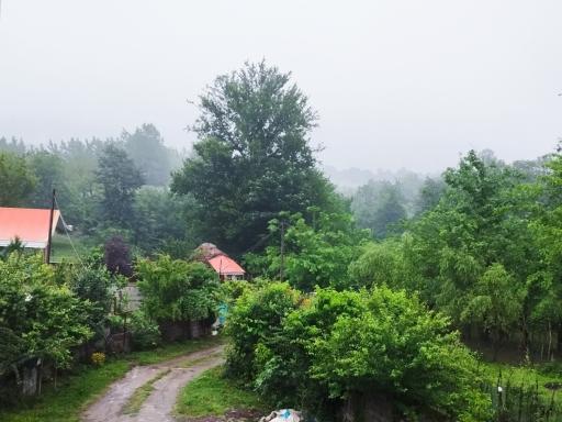 عکس ماکلوان