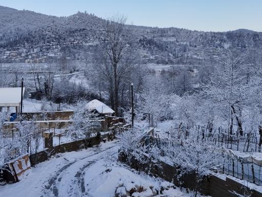 عکس ماکلوان