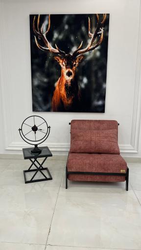 عکس مبل تخت خواب شو اورنگ