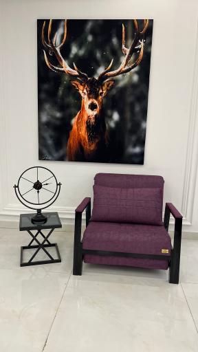 عکس مبل تخت خواب شو اورنگ