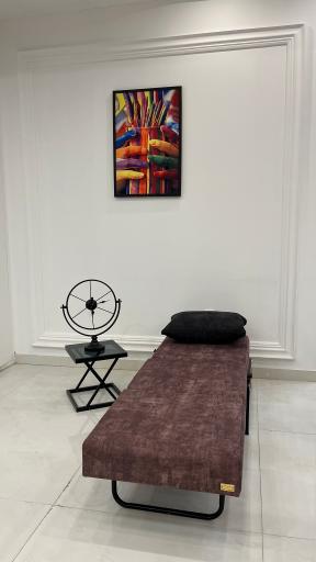 عکس مبل تخت خواب شو اورنگ