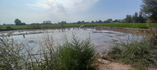 عکس منطقه حفاظت شده پرندگان سرخ‌رود