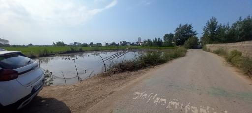 عکس منطقه حفاظت شده پرندگان سرخ‌رود