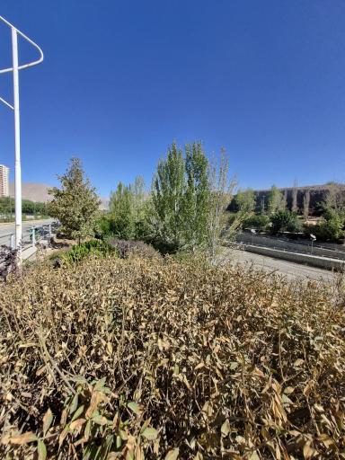 عکس بوستان جوانمردان