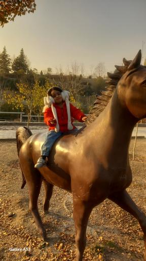 عکس بوستان جوانمردان