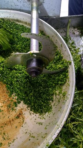 عکس سبزی خردکنی