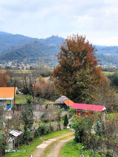 عکس ماکلوان