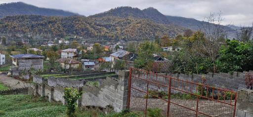 عکس ماکلوان