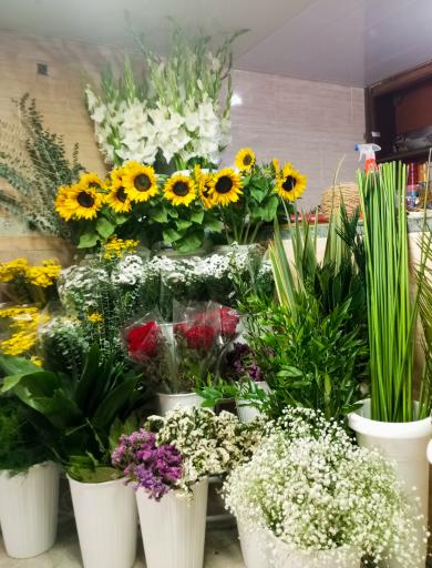 عکس گل فروشی وصال