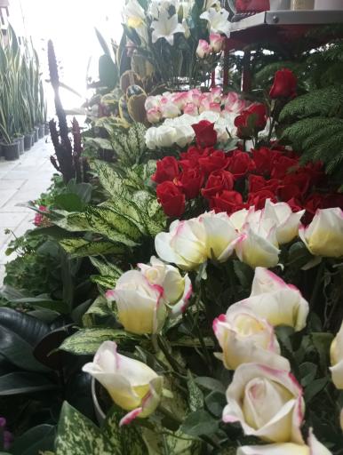 عکس گل فروشی وصال