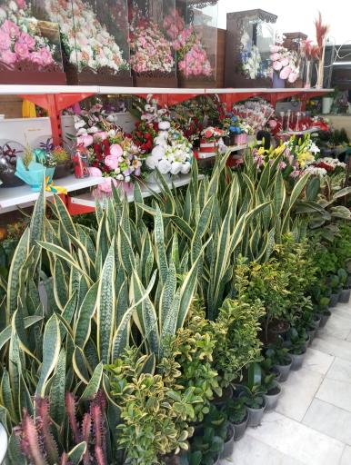 عکس گل فروشی وصال
