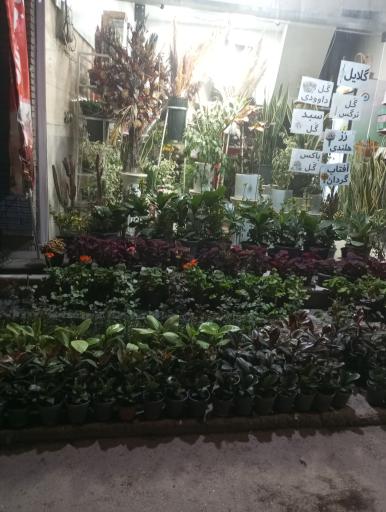 عکس گل فروشی وصال