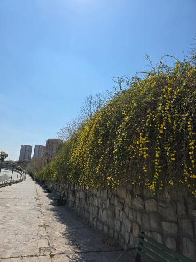 عکس بوستان جوانمردان