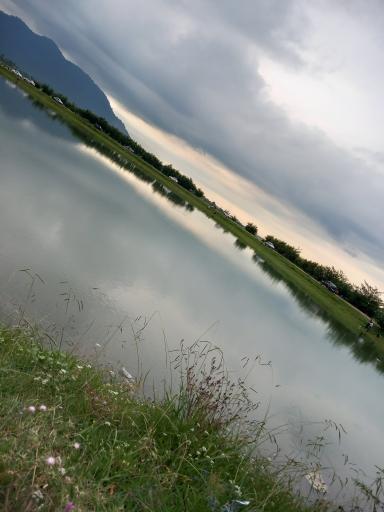 عکس ماکلوان