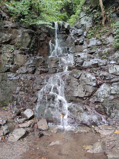 عکس آبشار جنگل سیاهکل