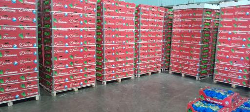 عکس سردخانه میوه و تره بار کاظمی