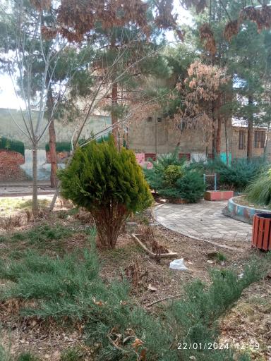 عکس پارک حکمت