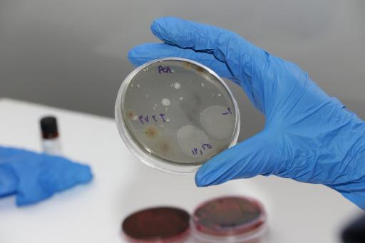 عکس آزمایشگاه تخصصی پرتو بشاش