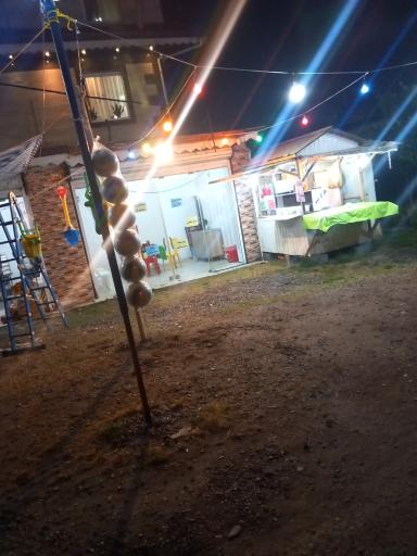 عکس ساندویچی فلافلی لقمه طلا