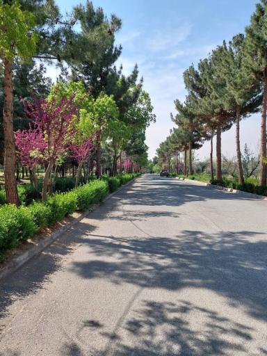 عکس دانشگاه هنر تهران (پردیس کرج)