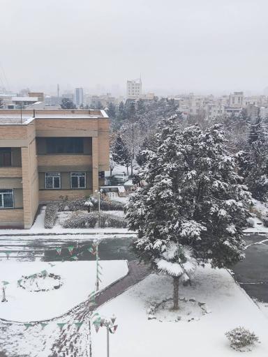 عکس دانشگاه هنر تهران (پردیس کرج)