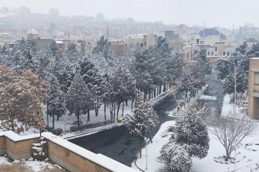 دانشگاه هنر تهران (پردیس کرج)