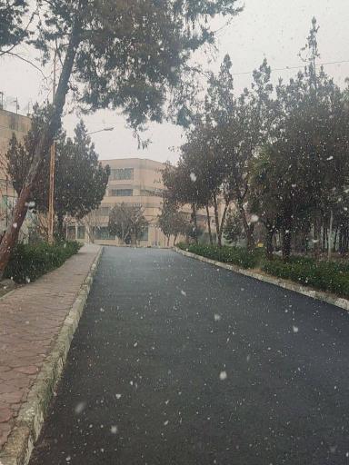 عکس دانشگاه هنر تهران (پردیس کرج)