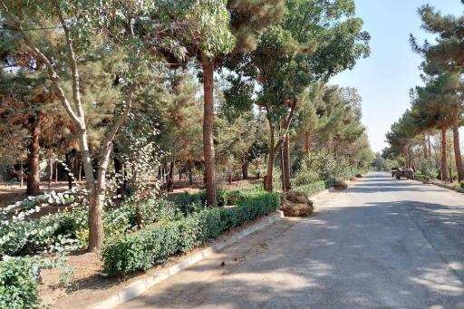 دانشگاه هنر تهران (پردیس کرج)