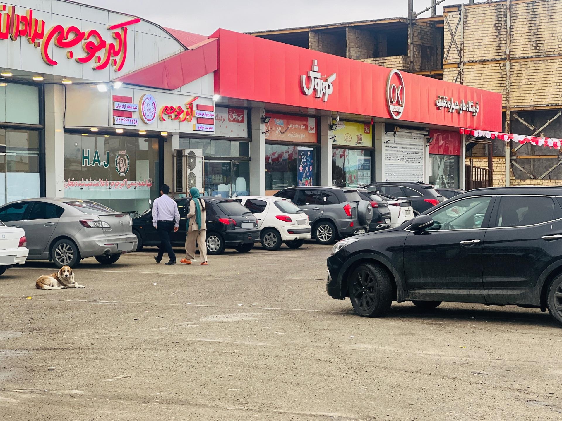 عکس اکبرجوجه برادران کلبادی  شعبه اصلی