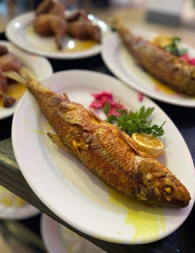 عکس اکبرجوجه برادران کلبادی  شعبه اصلی