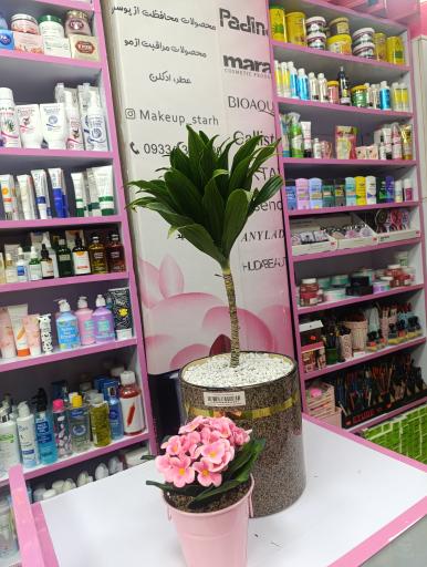 عکس گالری آرایشی شایلی 