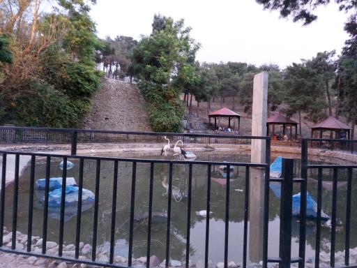 عکس آبشار چیتگر