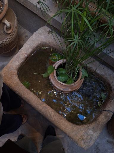 عکس سرای آناهیتا