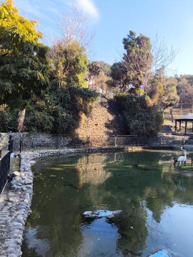 عکس آبشار چیتگر
