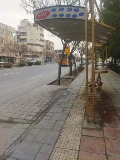 عکس کوچه لاله