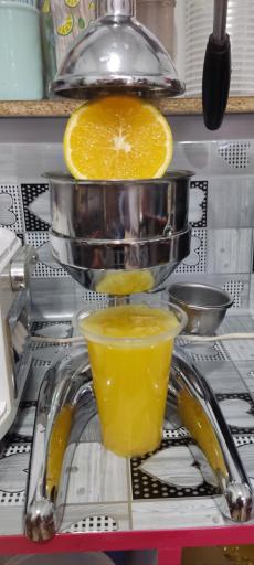 عکس کافی شاپ کاکتوس