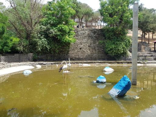 آبشار چیتگر