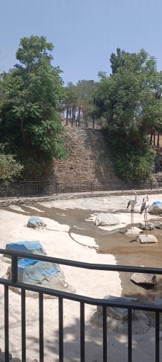 آبشار چیتگر