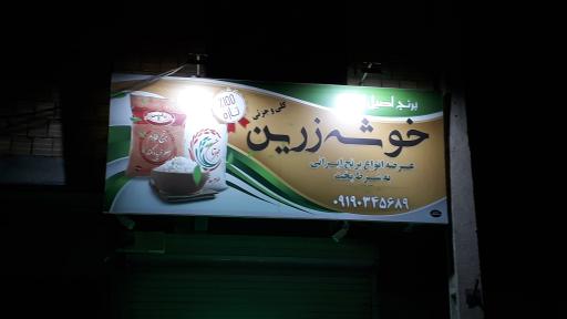 عکس برنج خوشه زرین