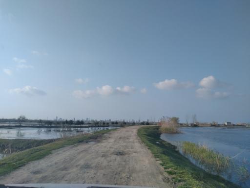 عکس ازباران