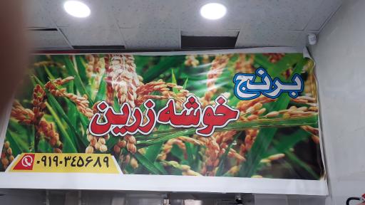 عکس برنج خوشه زرین