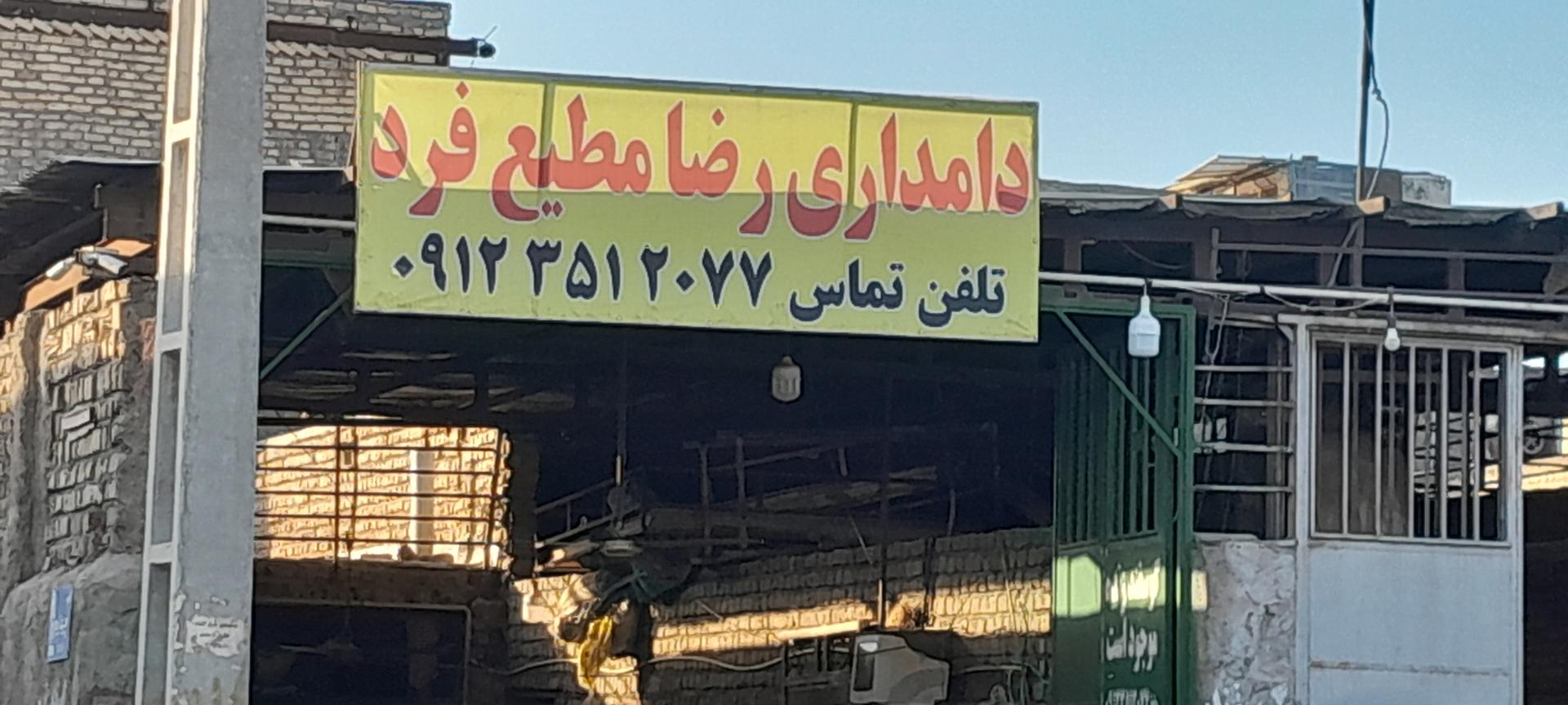 عکس دامداری رضا مطیع فرد