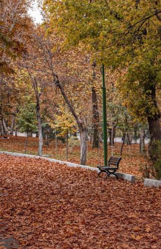 عکس بوستان ملت