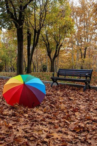 عکس بوستان ملت