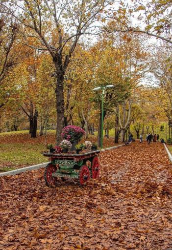 عکس بوستان ملت